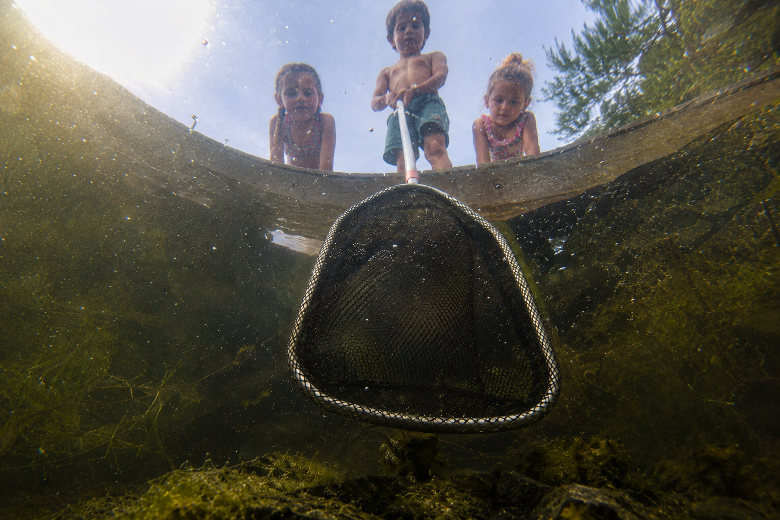 Three children peering over a dock holding a long-handled net dipped into clear Long Island bay water